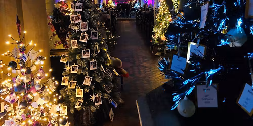 Holy Trinity Christmas Tree Festival Grand Opening