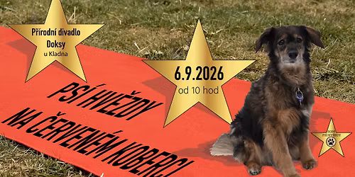 Ps\u00ed hv\u011bzdy 2026