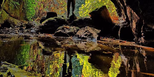 \u0986\u09a8\u09cd\u09a7\u09be\u09b0\u09ae\u09be\u09a8\u09bf\u0995 \u09a8\u09be\u09b0\u09bf\u09b6\u09cd\u09af\u09be \u099d\u09bf\u09b0\u09bf \u09ad\u09cd\u09b0\u09ae\u09a3\u09c7 '\u099f\u09cd\u09b0\u09be\u09ad\u09c7\u09b2\u0997\u09cd\u09b0\u09be\u09ab' ( \u09e7\u09e9 \u09a8\u09ad\u09c7\u09ae\u09cd\u09ac\u09b0 ) 