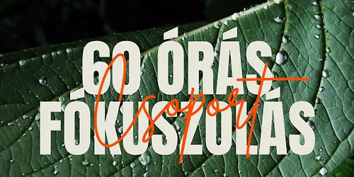 60 \u00f3r\u00e1s f\u00f3kuszol\u00e1s csoport Szegeden, h\u00e9tk\u00f6znaponk\u00e9nt