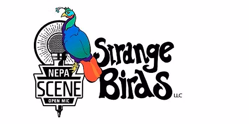 NEPA Scene Open Mic at Strange Birds in Scranton