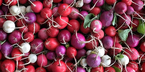 4th Ave Sunset Park Greenmarket