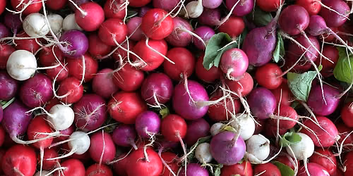 4th Ave Sunset Park Greenmarket