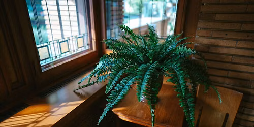 Florals 101 with Plant Shack by H. Co
