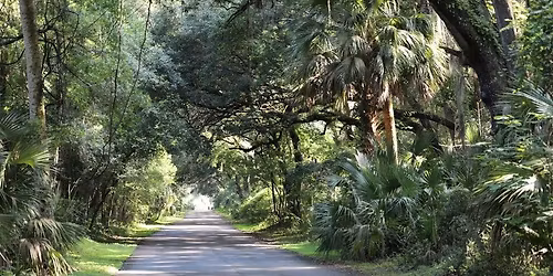 The Flock\u2019s May Walk La Chua\/Hawthorne Trail