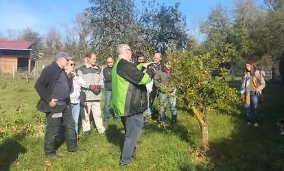 Formation gratuite - Taille de fruitiers et Technique de multiplication de plants