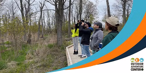 Birding Belle Isle
