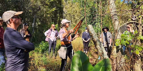 Pruning Practical Workshop