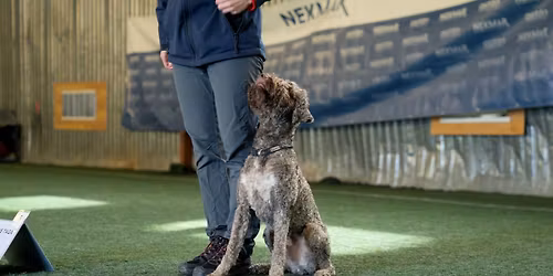 Mitteametlik rallikuulekuse v\u00f5istlus Tartus