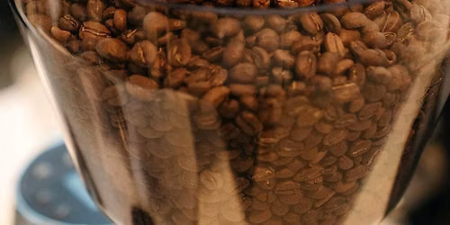 The Daily Prescription: A Coffee Tasting + Pairing Experience