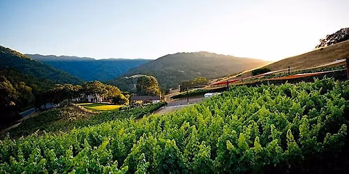 Harvest Wine Paired Dinner at Alamitos Vineyards, San Jose