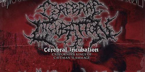 CEREBRAL INCUBATION, INIQUITOUS SAVAGERY, 357 Homicide