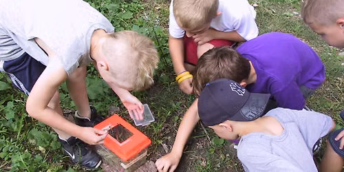 Lime Creek Littles-Exciting Insects!
