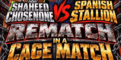 Wrestling match in a steel cage