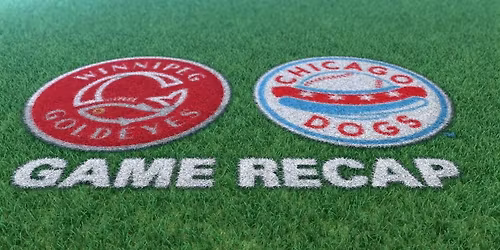 Winnipeg Goldeyes vs. Chicago Dogs