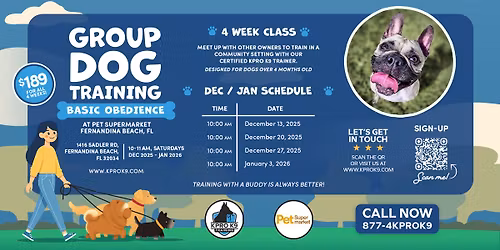 Fernandina Beach Pro Basic Obedience Group Class