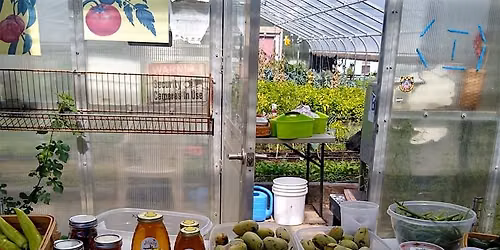 Running a Successful On-Site Farm Stand
