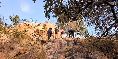 Castle Hill - White Arrow via Walker St steps