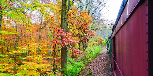 Fall Foliage Express