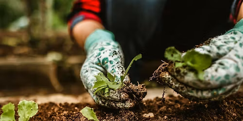 Free Garden Class- Wake up Your Garden: Spring Prep & Planning