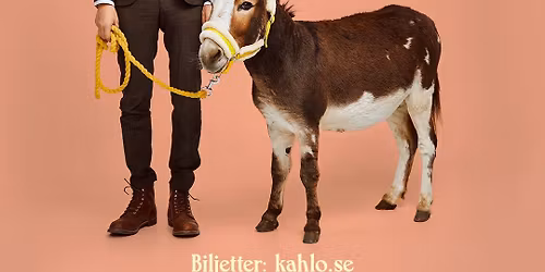 Anders \u201dAnkan\u201d Johansson - humorshow