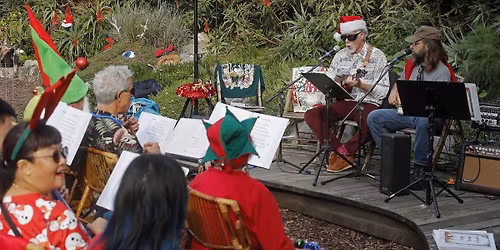Parking Black Violin - Joliet
