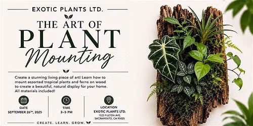The Art of Plant Mounting