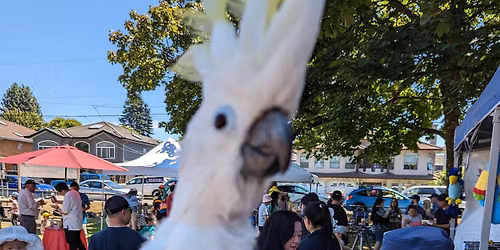 Community Days 