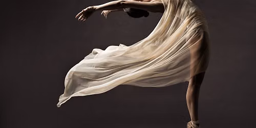 The Pelvic Diaphragm by Julie Hammond