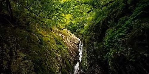 White Oak Canyon Hike