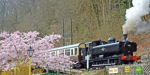 Avellana @ The Dean Forest Railway 