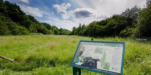South Notts Out & About: Wilwell Farm Cutting in Summer