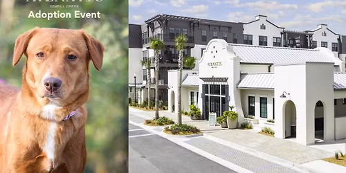 Atlantic Nowell Creek Adoption Event