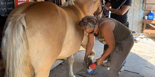 Hoof Grooming for Maintenance & Health Clinic - Grovedale AB - June 11-14, 2026