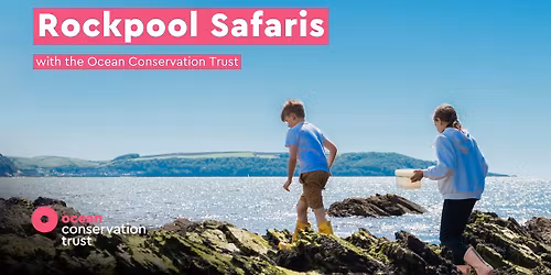 Rockpool Safaris