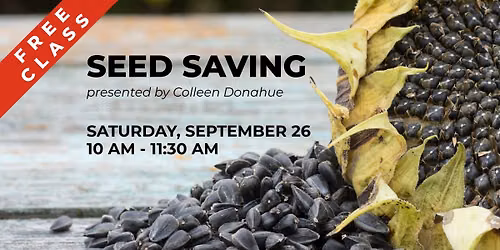Seed Saving