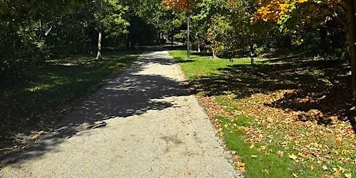 Cedarvale Ravine Hike