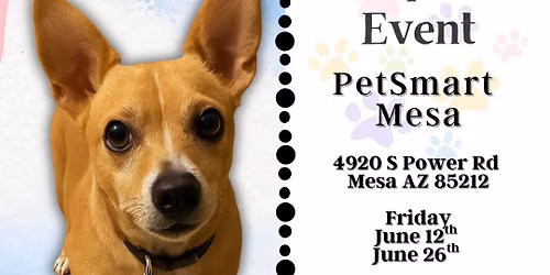 PetSmart Mesa Adoption Event
