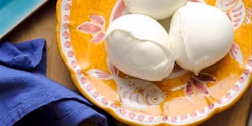 In-person class: Cheesemaking 101: Mozzarella and Ricotta (Seattle)