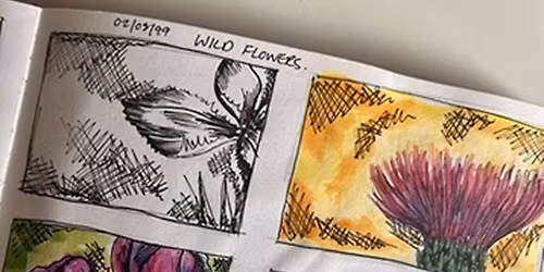 Sketching with artist Louise Earnshaw Sunday 11th January, 2026 10.30 - 1.30pm