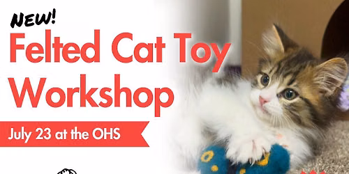 Felted Cat Toy Workshop