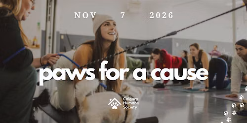 Paws For a Cause: Yoga at The Humane Society