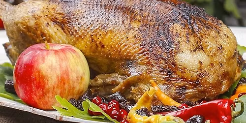 MARTINIGANSL-EXPRESS