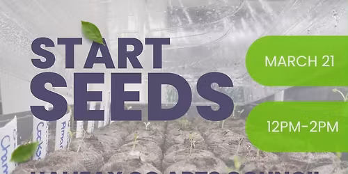 Eco-Art Guardians #1: Egg Carton Seed Starting