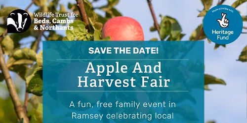 Apple And Harvest Fair