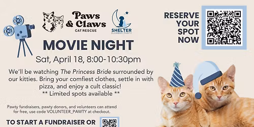Movie Night with Cats