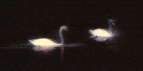 The Encounter