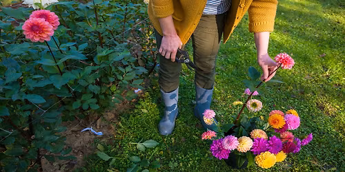 Burghblooms presents Grow Your Own Cut Flower Garden