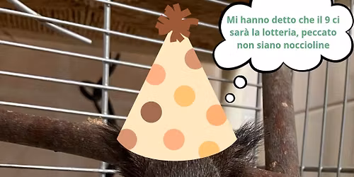 Vieni a scoprire Montorio e la fauna selvatica 