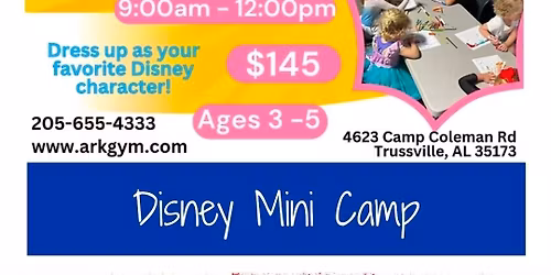 Disney Mini Camp